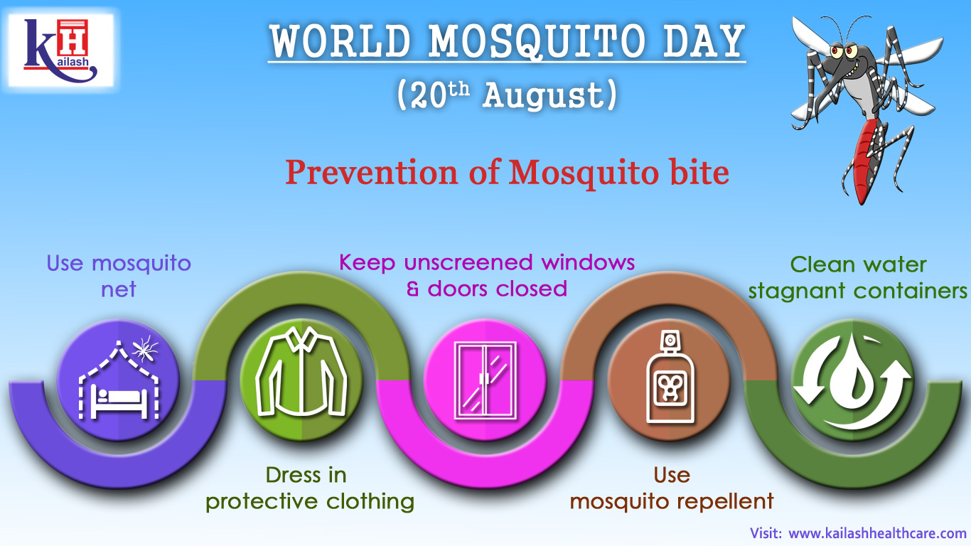 world mosquito day speech