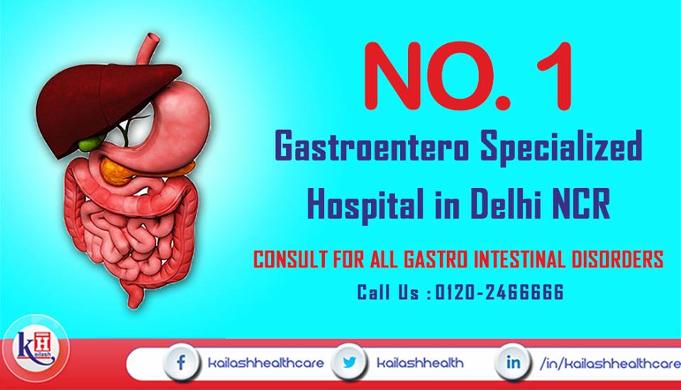 Get all Types of Gastro Problems Treated at the No.1 Gastroenterology Hospital of Delhi NCR.