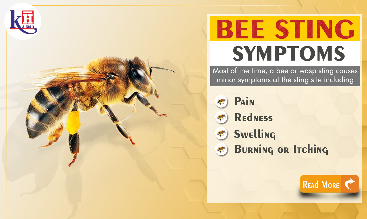 Bee Sting Allergy: Symptoms of Anaphylaxis