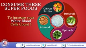 4 Super Foods to increase your White Blood Cells