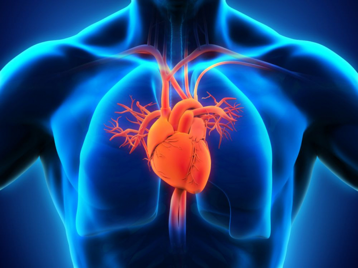 Some Positive Lifestyle Changes that can Prevent Cardiovascular Disease