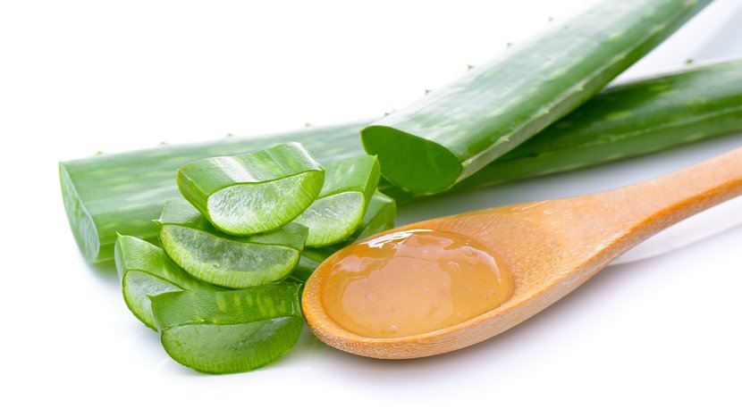 Aloe vera gel is antibacterial & can soothe sunburns