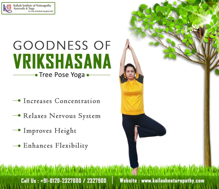 Holistic benefits of Vrikshasana improves concentration & nervous system functions.