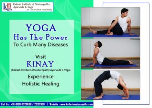 Experience Holistic Healing with the Power of Yoga at KINAY to prevent & cure diseases.