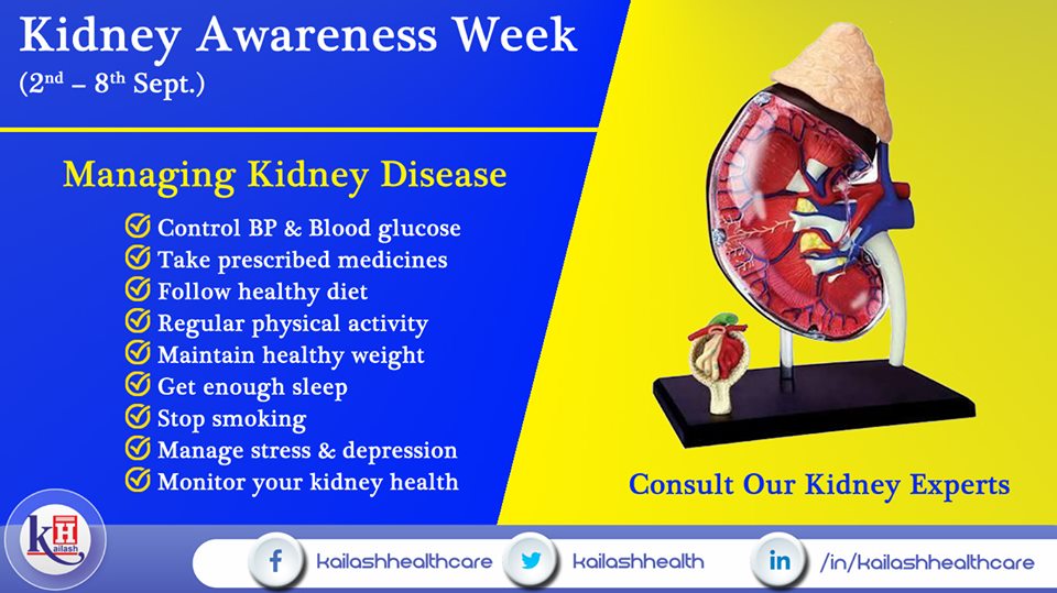 Here are some amazing tips to manage Kidney Disease through your daily lifestyle changes.