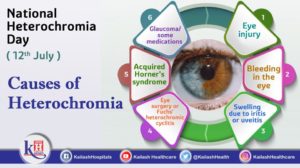 Heterochromia is determined by production, and concentration of melanin causing to have two different colored eyes with little/no health risk. Consult an Ophthalmologist.
