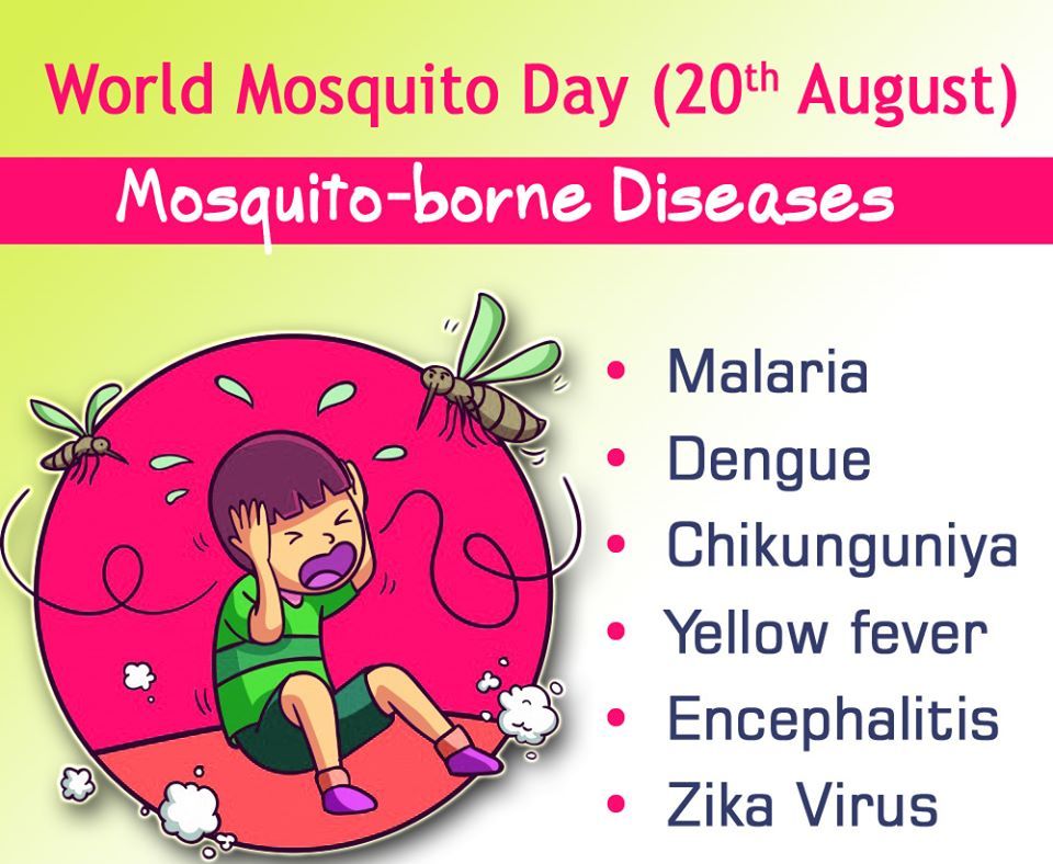 Dengue, Chikungunya, Yellow fever & Malaria are all transmitted to humans by the Aedes & Anopheles mosquito.